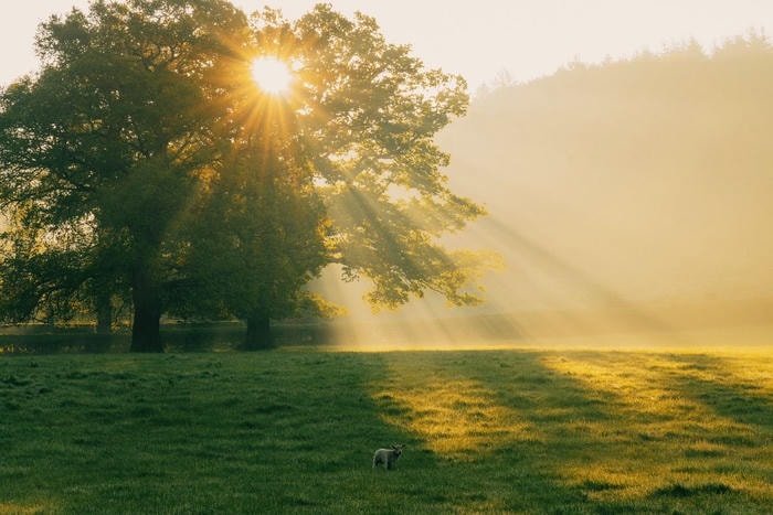 ảnh bình minh dịu dàng