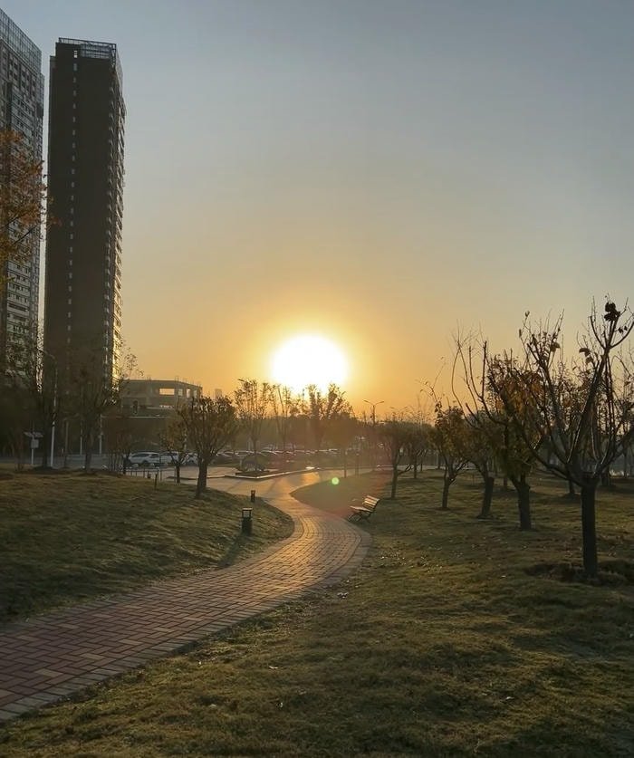 ảnh bình minh lấp lánh