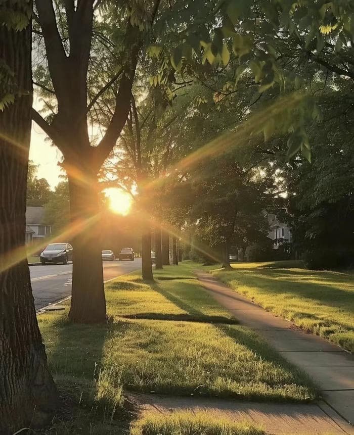 ảnh bình minh nhẹ sương