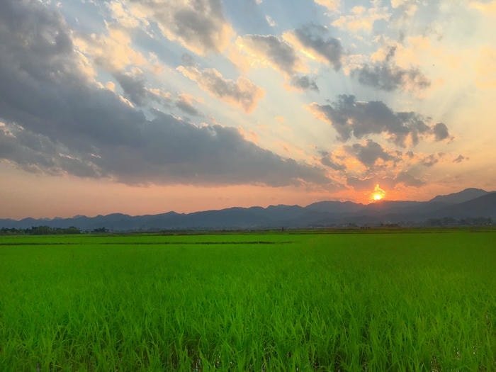 ảnh bình minh rạng rỡ