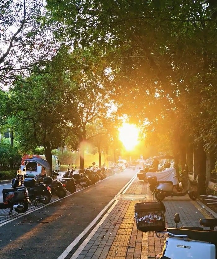 ảnh bình minh thanh bình