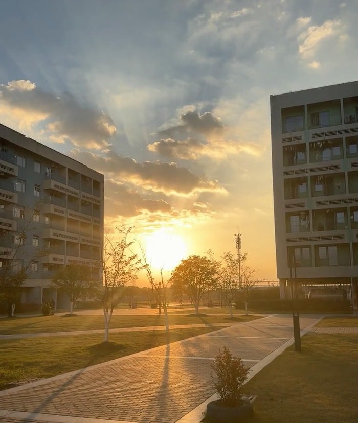 ảnh bình minh thanh khiết