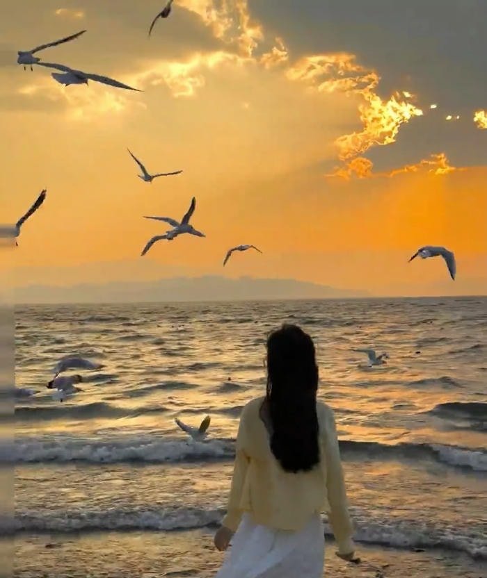 ảnh bình minh sáng sớm ở biển trong lành