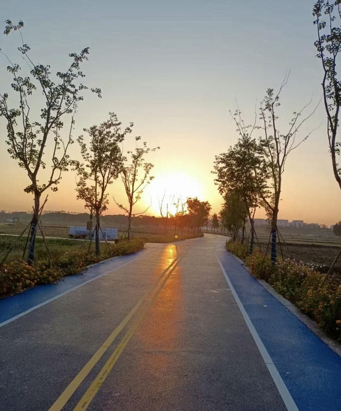 ảnh bình minh trong sáng