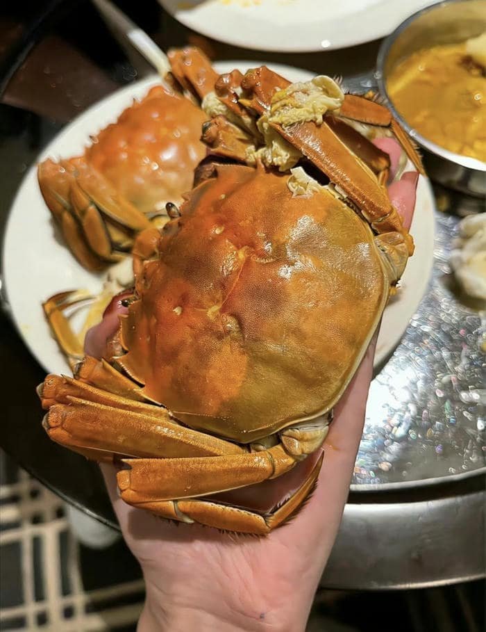 ảnh đồ ăn nổi bật