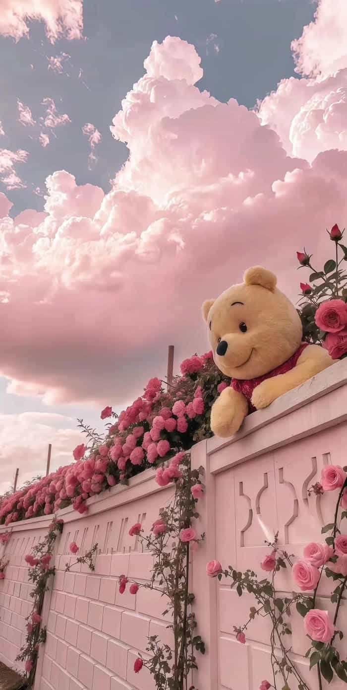 ảnh hoa đẹp nhẹ nhàng