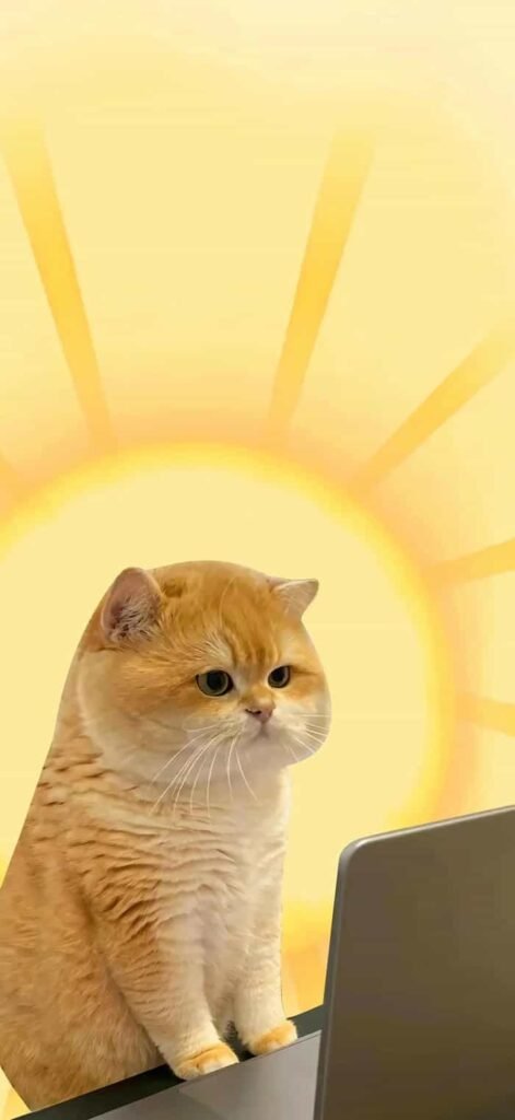 ảnh nền đơn sắc