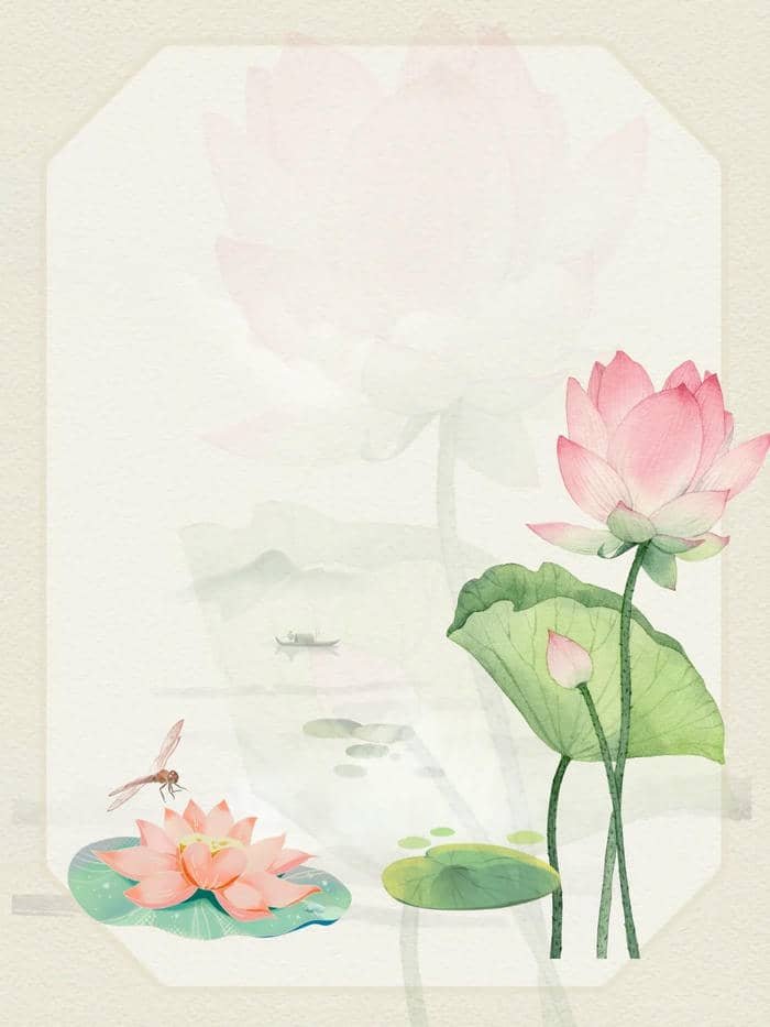 ảnh nền hoa sen đơn giản