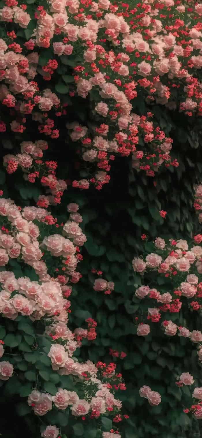 ảnh nền hoa tự nhiên