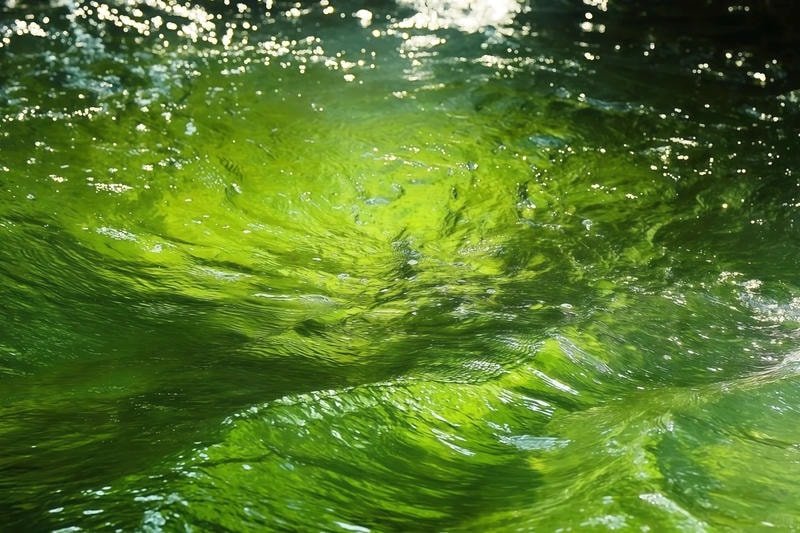 ảnh nền macbook công nghệ