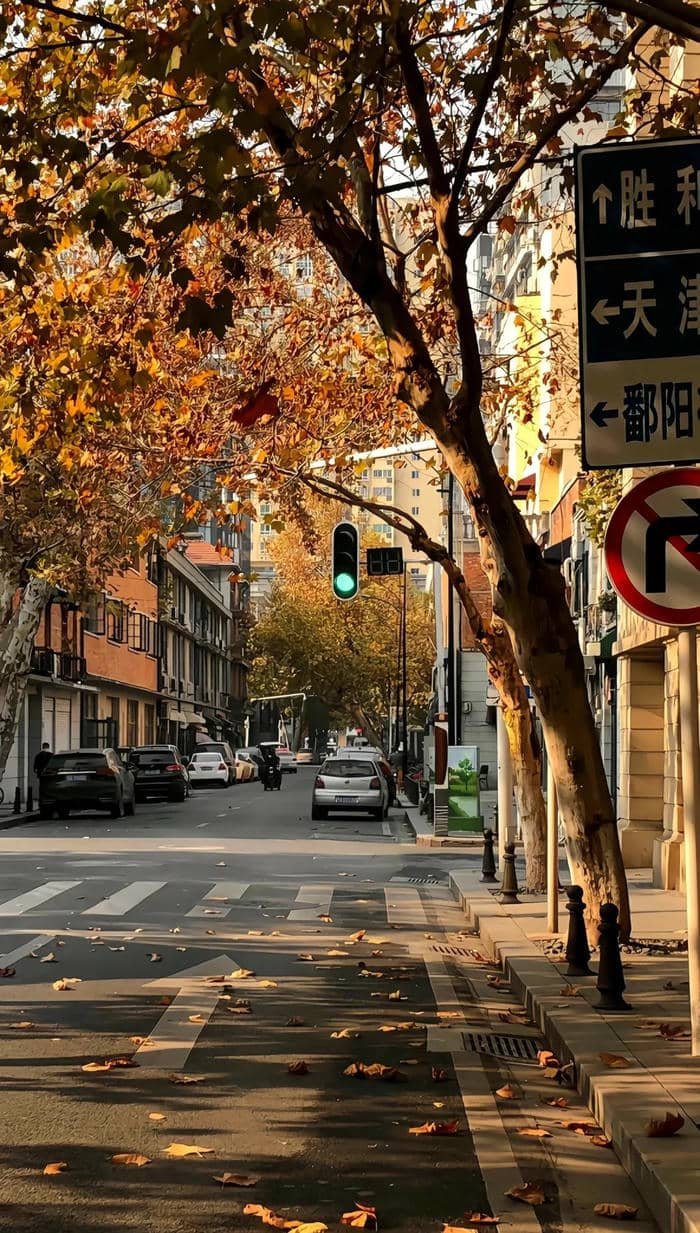 ảnh nền thiên nhiên full hd