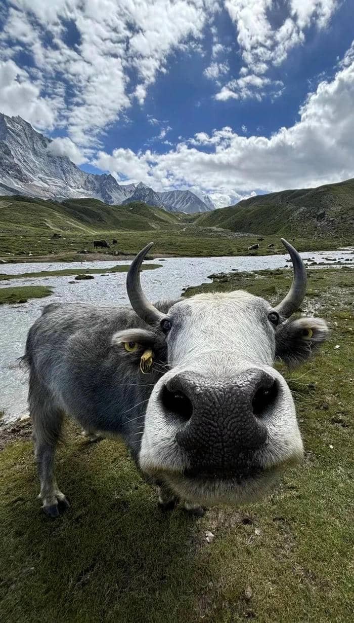 ảnh nền thiên nhiên tĩnh lặng