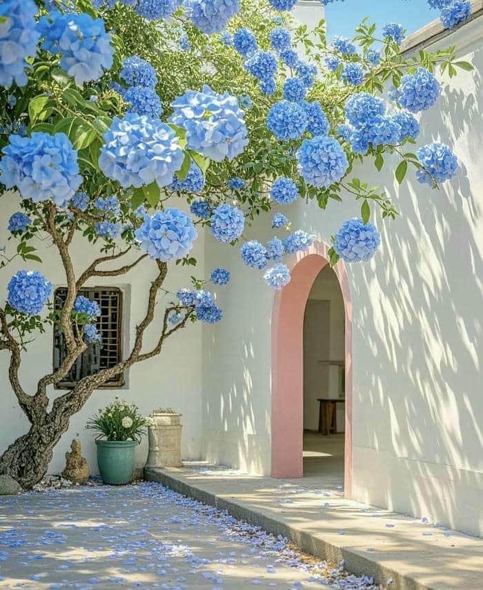 ảnh phong cảnh đơn giản