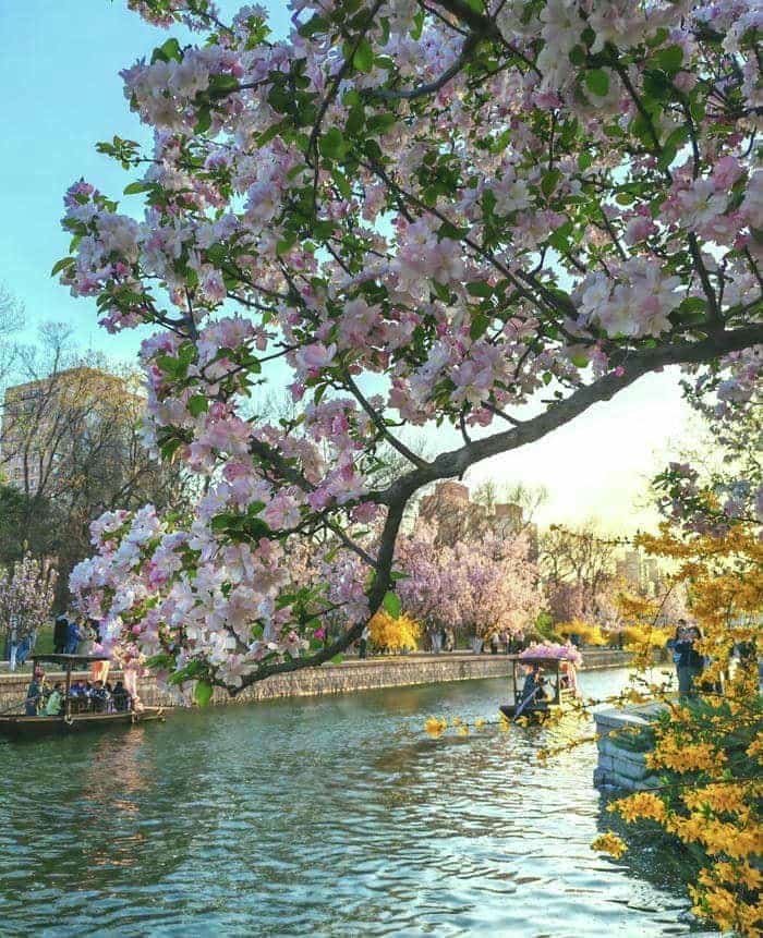 ảnh phong cảnh dòng sông