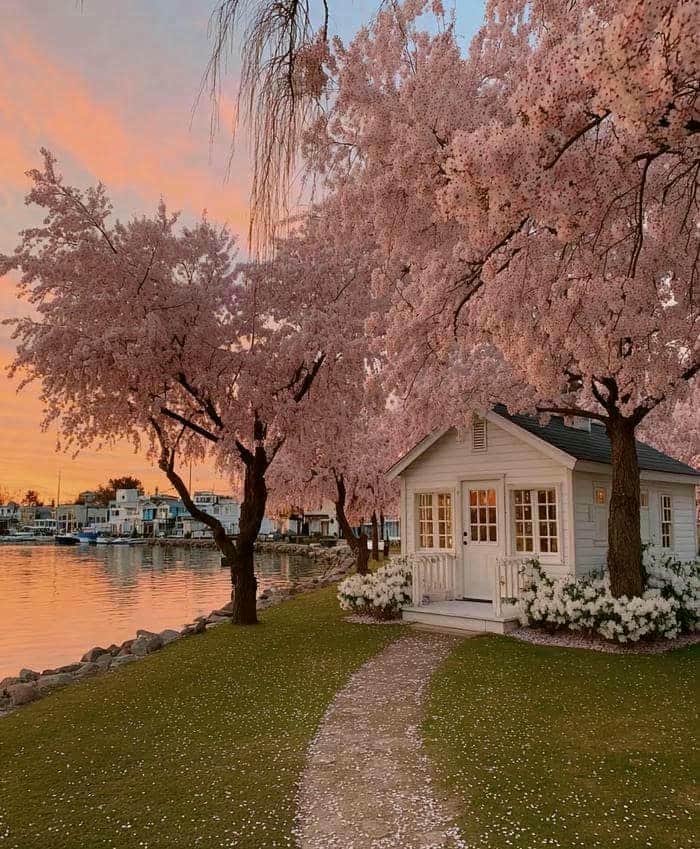 ảnh phong cảnh nhà bên hồ