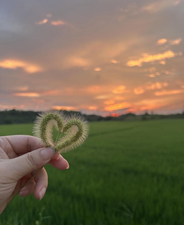 hình ảnh bầu trời hoàng hôn đẹp nhất