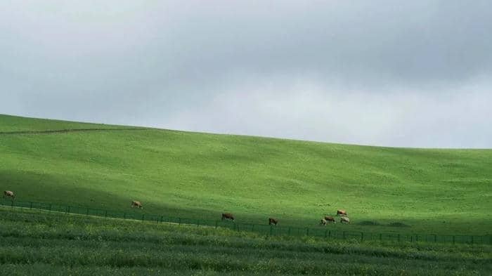 hình nền cho ipad