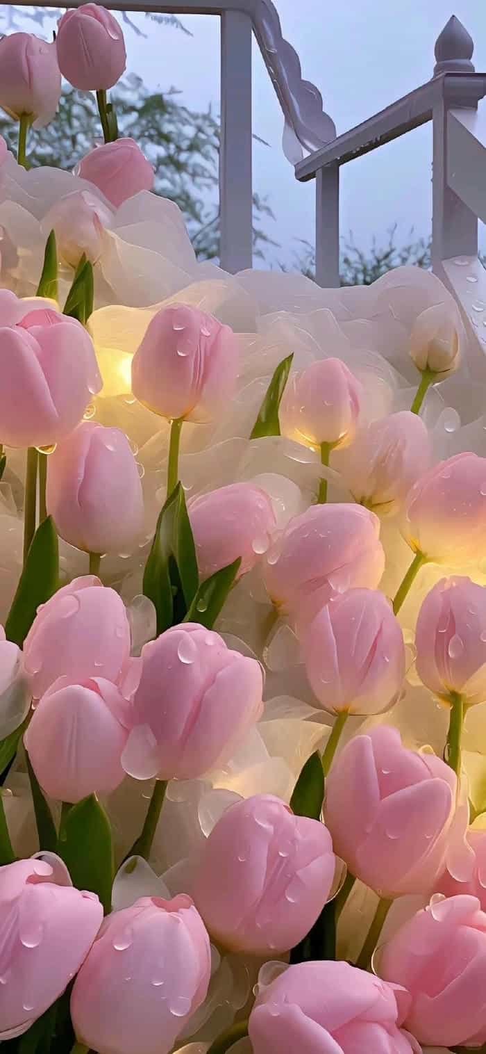 hình nền hoa nét