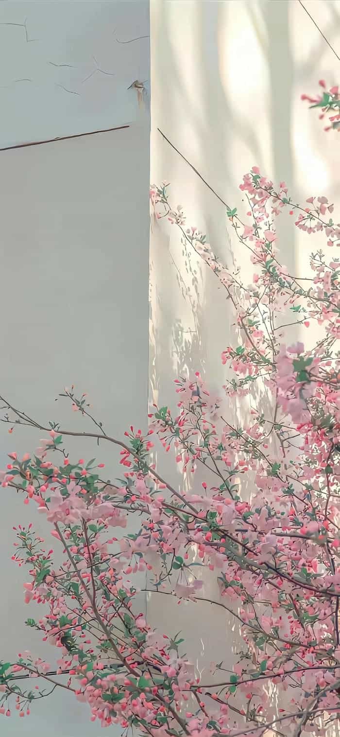 hình nền hoa phong cách