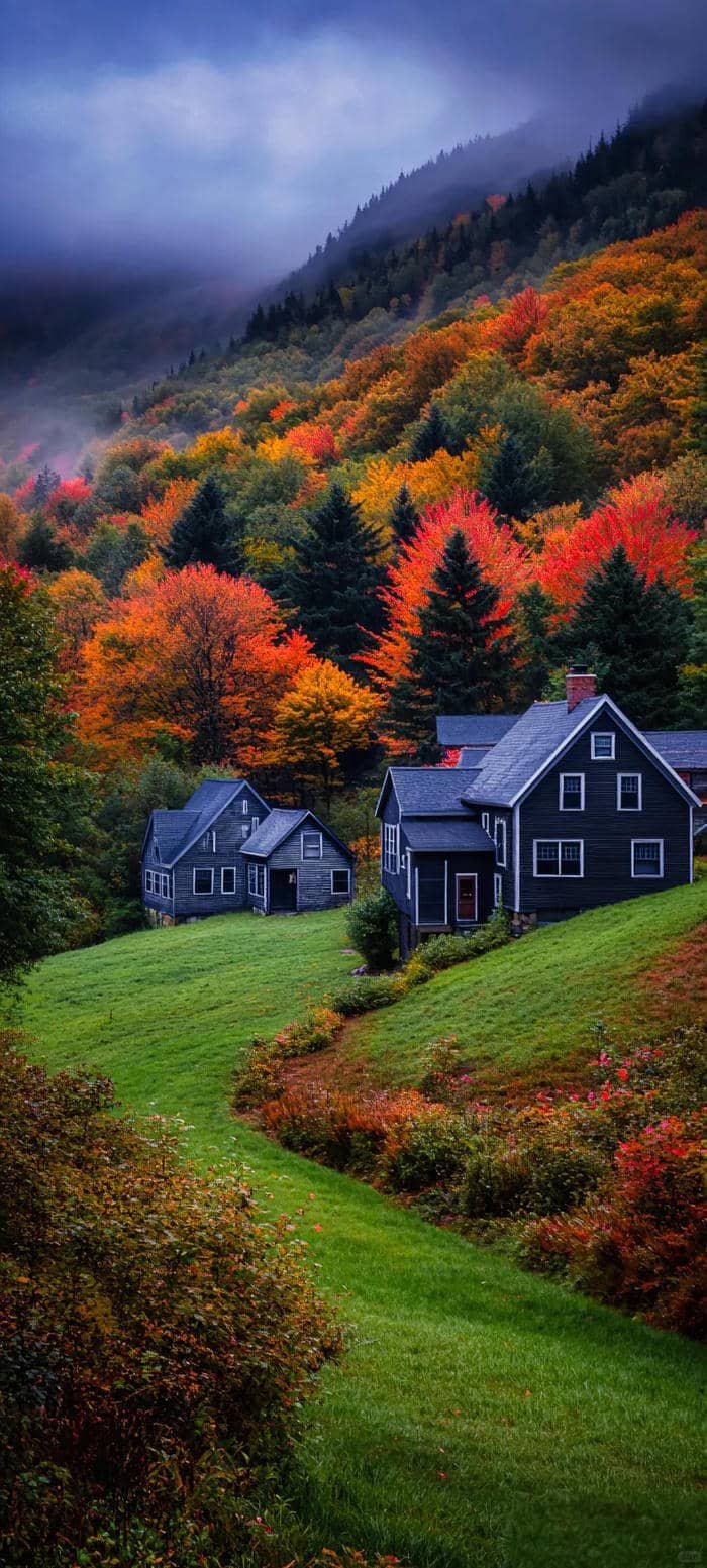 hình nền iphone 15 tối giản