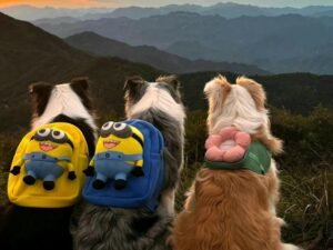 hình nền macbook đơn giản