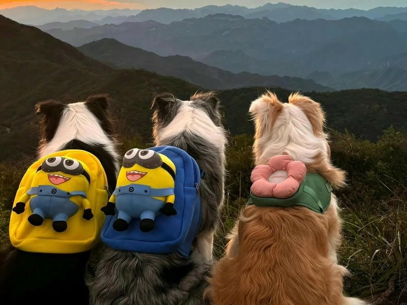 hình nền macbook đơn giản