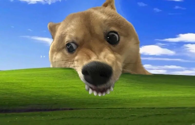 hình nền macbook hài hước