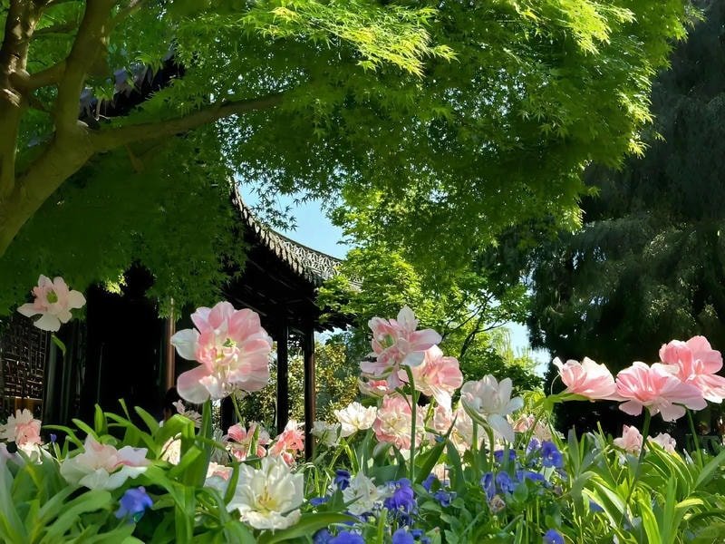 hình nền macbook phong cảnh