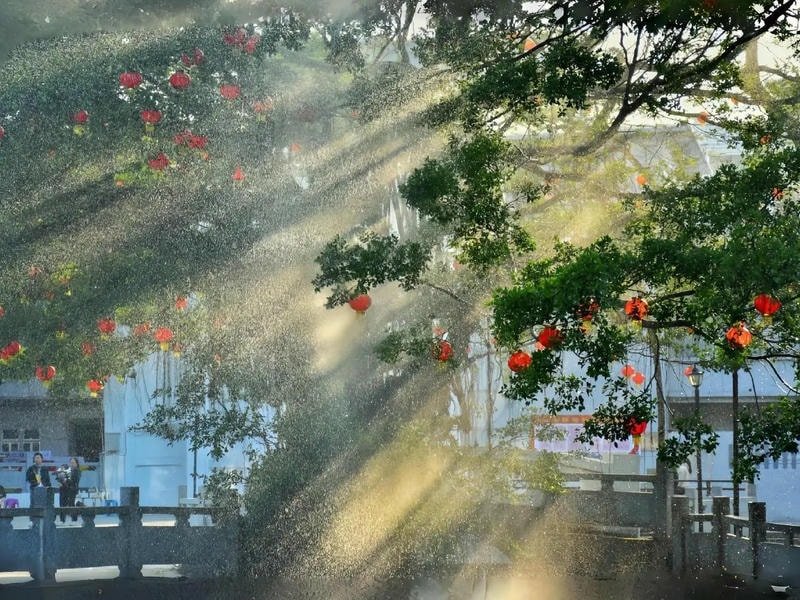 hình nền macbook thiên nhiên