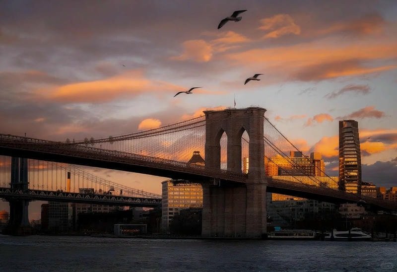 hình nền macbook tối giản