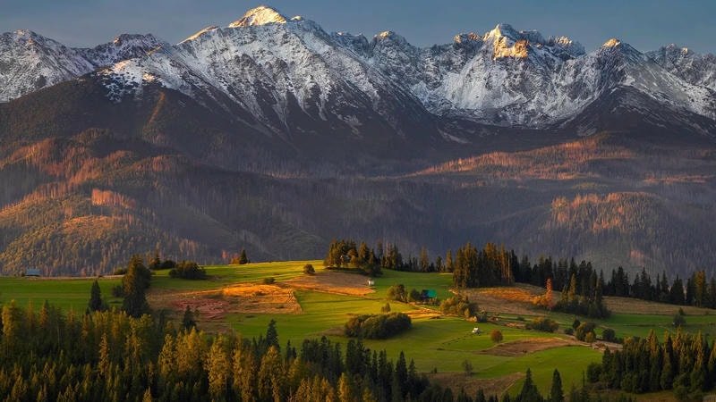 hình nền macbook trắng đen