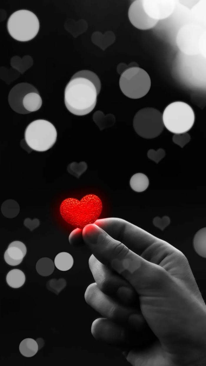 hình nền trái tim cute love