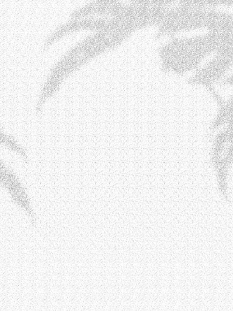 nền màu trắng chụp ảnh