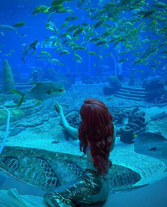 Khung hình nghệ thuật cosplay nàng tiên cá tinh tế