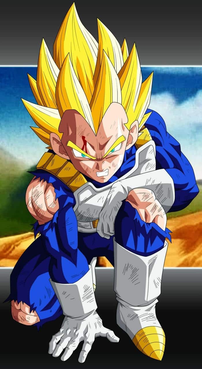 ảnh Vegeta anime năng lượng