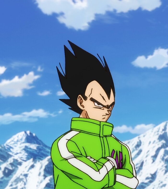 ảnh Vegeta mặc áo thể thao ngầu lòi