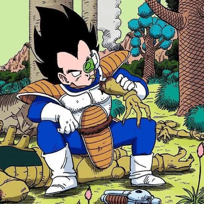 ảnh Vegeta meme dễ thương hài hước