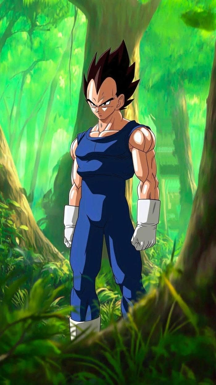 hình Vegeta anime nổi bật