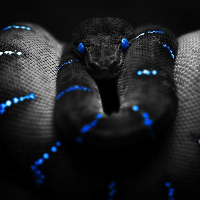 Ảnh avatar bé gái cười tươi đội mũ len xinh