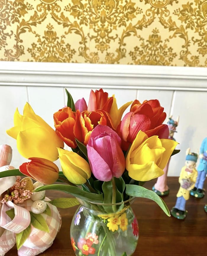 Ảnh hoa tulip rực rỡ giữa ánh nắng