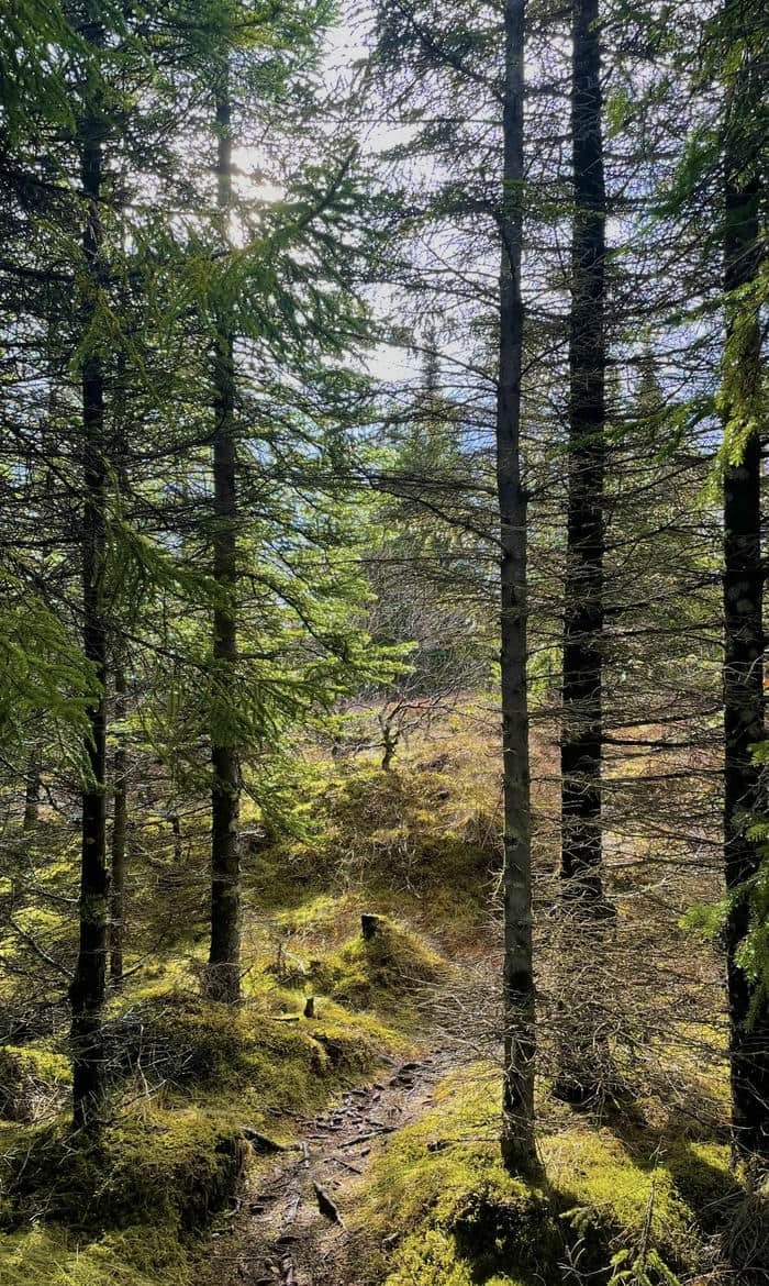 Ảnh thiên nhiên đẹp màu sắc