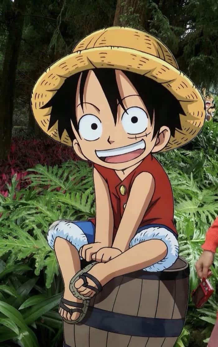 Anime Luffy hình ảnh quen thuộc