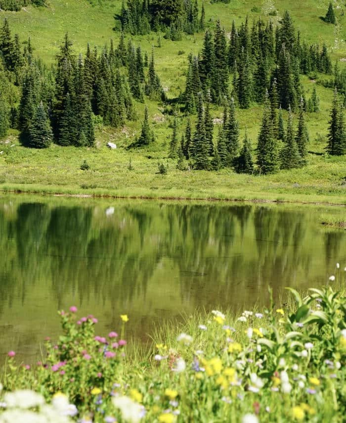 Hình ảnh thiên nhiên đẹp rộng lớn