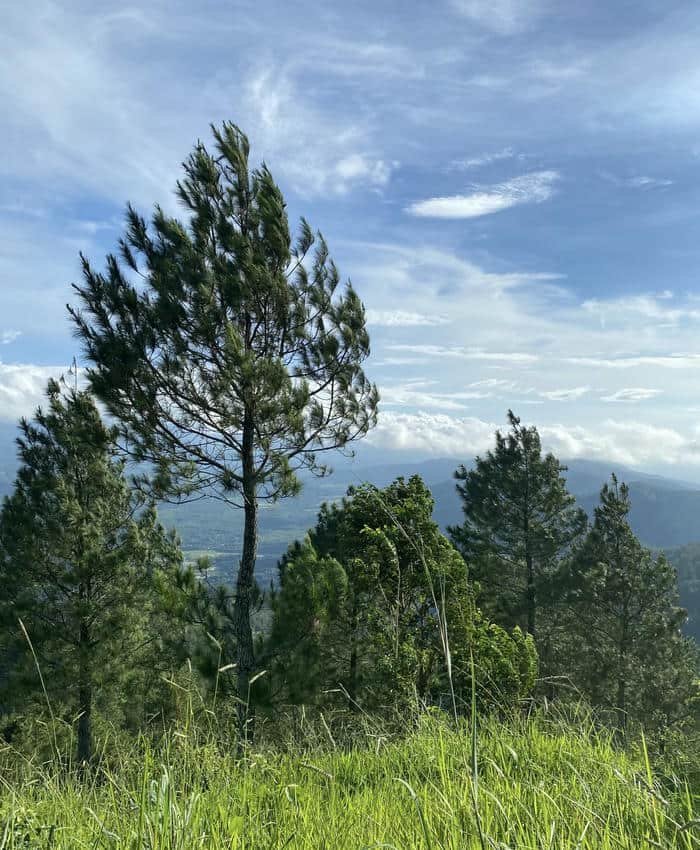 Hình ảnh thiên nhiên đẹp sông nước