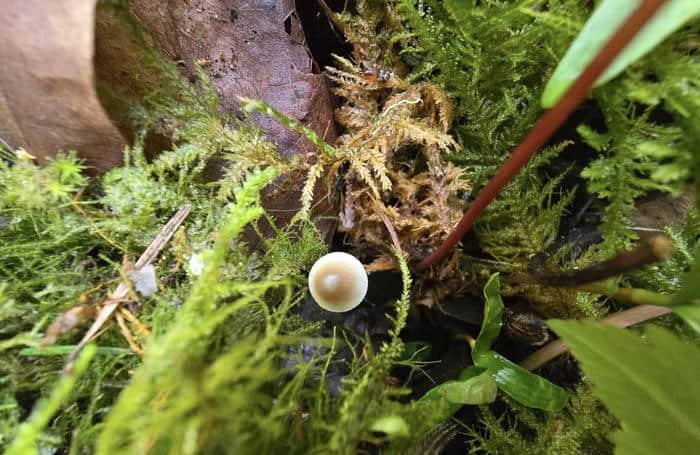 Hình đại diện thiên nhiên đẹp phong cách