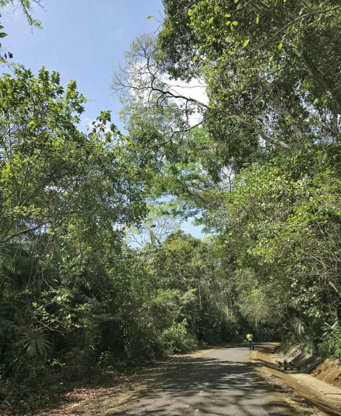 Hình đại diện thiên nhiên đẹp yên bình