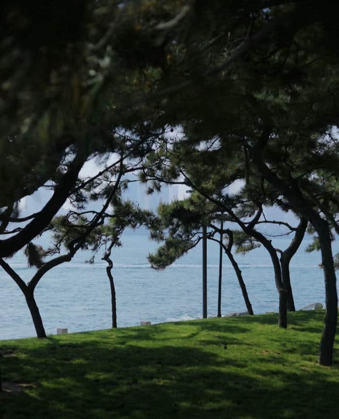 Hình thiên nhiên đẹp không gian