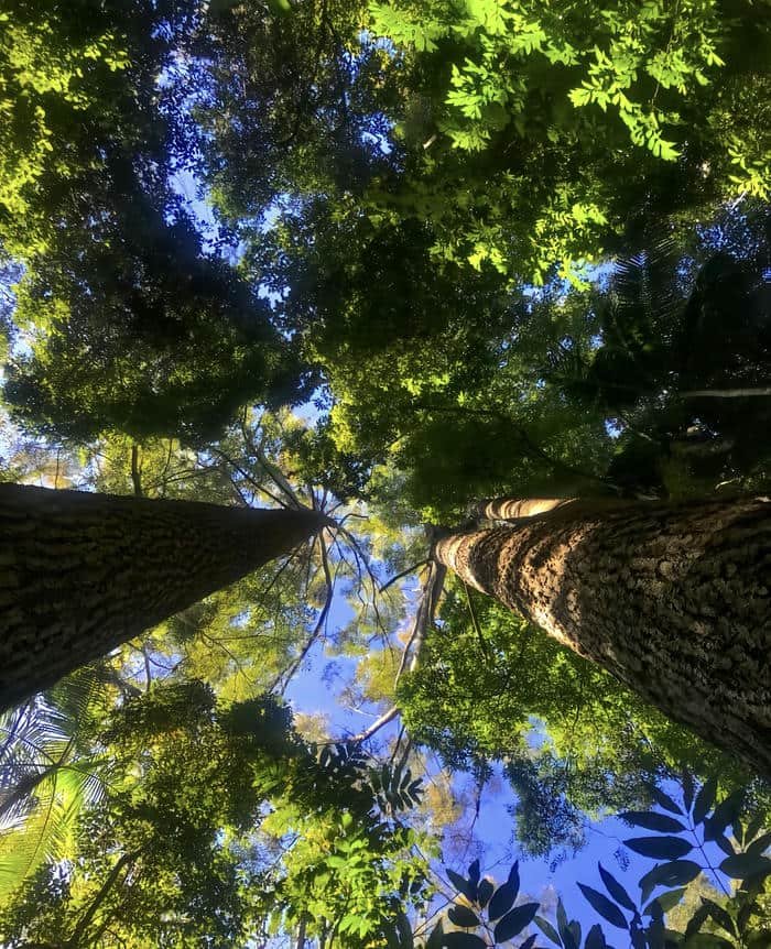 Hình thiên nhiên đẹp rõ nét