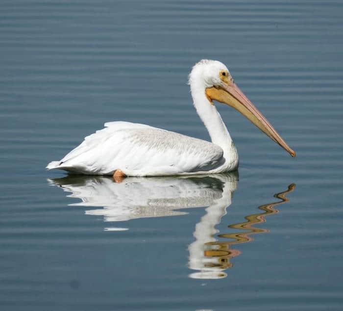 Hình thiên nhiên đẹp thanh bình