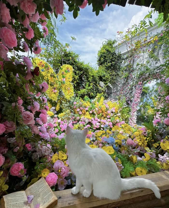 Hình thiên nhiên đẹp thoáng đãng